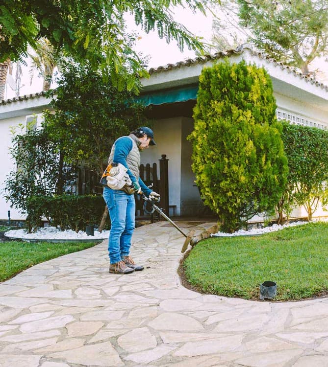 Trabajo web de jardinería para Carlos Correa - Zona Valencia